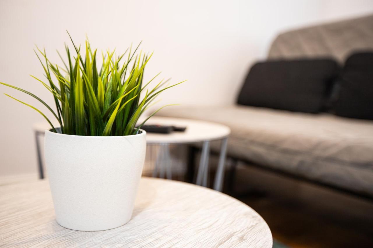 Moderne 2-Zimmer Wohnung! Wlan Und Netflix Inklusive! Zentral Gelegen In Der Historischen Altstadt! Щаде Екстериор снимка